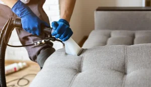 ofisis generaluri dalageba